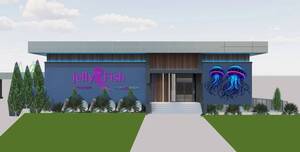 Carousel image e54ef15f8bd901bfce80 mini magick20260209 687446 1n2t8w9