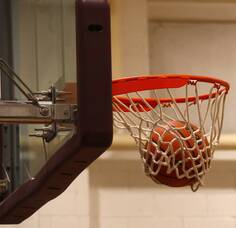 Carousel image 6928c6e2b9d40a5f3c2f mini magick20260302 1821151 4fwzwq