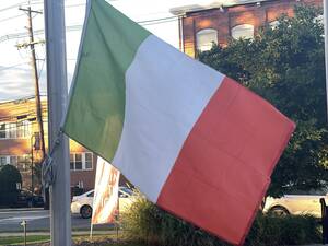 Carousel image 0625e70d212bb4a731f0 0092538c8ed241e24167 41012fbd b75b 47f9 90f1 d241882c755f