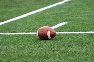 Carousel image 8005884e2187c8defdcd mini magick20240913 2446951 188bf99
