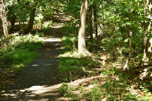 Carousel image b17ee741656592a0bbce mini magick20250107 2831085 qogynd