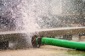 Carousel image 23310ff047846aee7dc2 mini magick20260131 3913159 17rdnhk