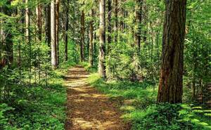 Carousel image 203ceb3d869915ed339d mini magick20250418 856728 2ib12z