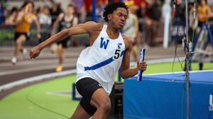 Carousel image 9fc9baf90b11ad4ccb62 7b38fcc2724cd85797c2 2fb8b9 izwe dlovu