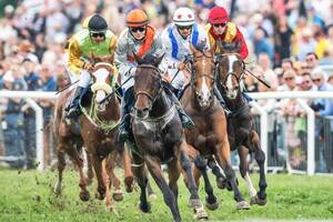 Carousel image bdfe1f4a4cd9aadc7cdd best crop 1d80f32e50c148011476 mini magick20250730 3430806 2kjse4