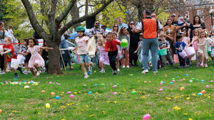 Carousel image 35a89a estfield aster gg unt