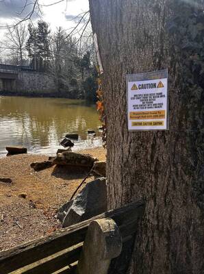 Carousel image c47ee3982343090aa50f best crop 5cfe9dfcdf0aa65790cc allendale dead geese bird flu