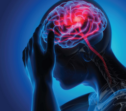 Carousel image c7a740a0169230a0402d best crop 1528e82972811fcc5d87 animation of brain function