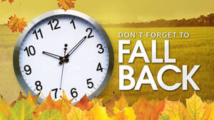 Carousel image b728916987c7d7cfd76d best crop 560fb7f785a3f85c622f b2c2bb4f4d8cc5e1f4e1 fall back time16065