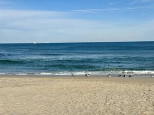 Carousel image 6e1694278bd92cb74e1c 7c3114c50aa392b79c4a beach