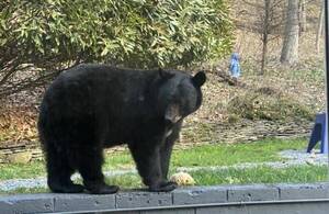 Carousel image 957d8f91a072f6f37161 mini magick20240821 2492612 jy6ioj