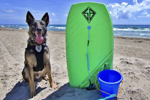 Carousel image 870d561ec467c80f1c64 mini magick20250930 3726572 wfpp9y