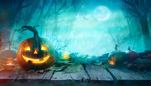 Carousel image 2051b91da5aa50efaaf0 mini magick20250630 1529889 1k36t0k