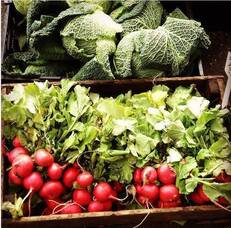 Carousel image 41085f7d80f3bf419a97 mini magick20260228 3485562 14zkh9k