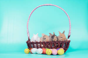 Carousel image 50bf4a79a718ea448a2d mini magick20260309 554701 k2yroz