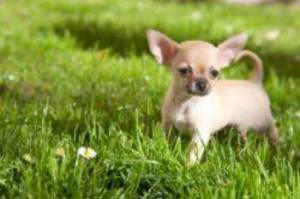 Carousel_image_642f889ce6962a301fb9_mini_magick20201021-19368-llprij