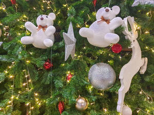 Carousel image 7a70db889571ff539b32 mini magick20251222 2039660 le5uly