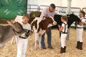 Carousel image 130844c95ccfde575cc9 best crop 1e1ae9bcaa56e43eb27a cow showing 24