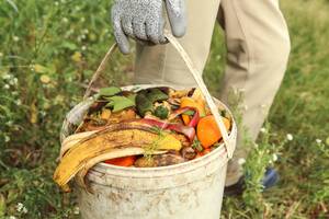 Carousel image 21f03245bb9f26131407 mini magick20240829 217218 76xvue