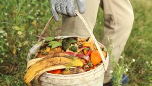 Carousel image clone 1714093 810dc08beacc6acb97a0 composting?v=08f122f374ebc1f8d8f1