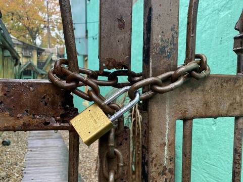 Top story 1c5bbe9075c724b4647a mini magick20201027 12634 11kcaig