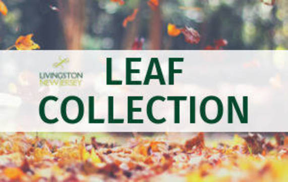 Top story 6808316a1358e429b9b3 mini magick20201024 21403 srqwi0