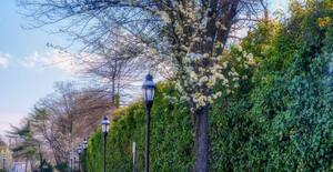 Carousel image 59b11f68b9edaa1547a2 0490360818e94273028a dsc09662