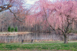 Carousel image c5fd88ab63b5a0913f2c 5ce3c695cea4f543cea3 dsc05122