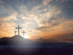 Carousel image 25ee3d5ebbac747eee8c shutterstock 1566037918