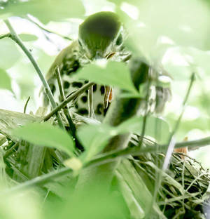 Carousel_image_85d72cb85c2c3fa345b6_mini_magick20200901-27618-rz1zdm