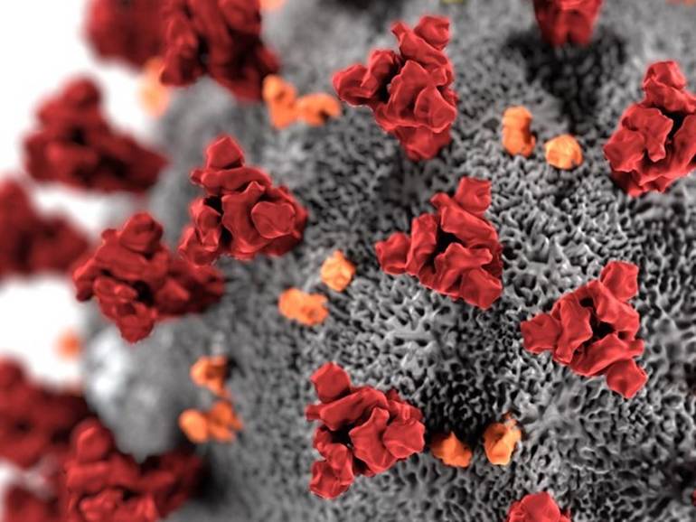 New Jersey confirms first coronavirus death FOX News