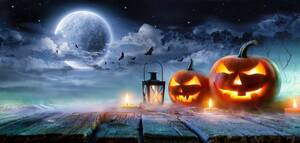 Carousel image 055ecbcef6ad6133cab6 mini magick20251029 2896790 9ukp6n