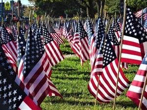 Carousel image 1f79de9d2c05c0909ea6 0fb43f92df27ac6b1695 f44108f3 fb5c 44e5 9730 ac30576e25fa