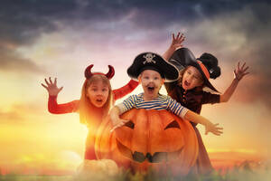 Carousel image 04ff18ca042cde4cbbdf mini magick20241018 3920537 rcuft5