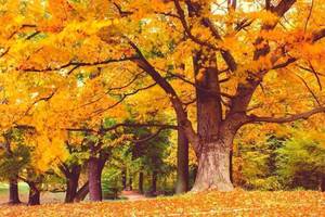 Carousel image 333f774b60f221c696f2 best crop 1d49c540447edfb9bfb4 best crop 8f66e4664b746f9493bc best crop 22e5071b2e496647bbd9 mini magick20221217 31982 fldmb7