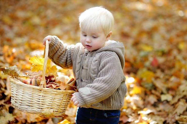 Save The Date For The South Brunswick Public Library's Third Annual Harvest Hope Festival
