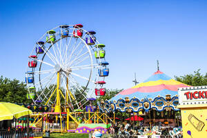 Carousel image 1f52ac8346e90706b646 mini magick20251115 1283161 b5uwcs