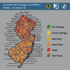 Carousel image 3aaa832fb9518489c862 best crop 26dd24adfd5a10347cbc fall foliage oct 18 2024