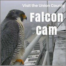 Carousel_image_5735afcffa65a7b0e41c_mini_magick20181005-16521-1yi3sdw