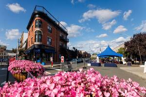 Carousel image 5dc9c1190f93d962c3cc mini magick20241024 774078 1la6nnh