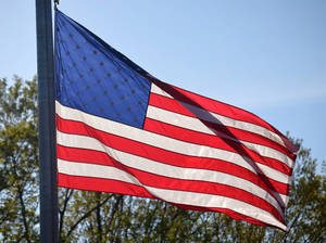 Carousel image 7c58eeab71206638030f ce87ca5337cf1145fe66 flag waving