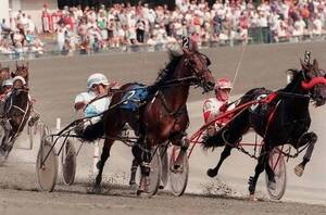 Carousel image 93692bb9432a92abaa47 best crop 054ea5 arness acing