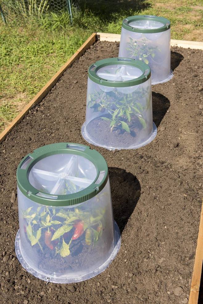 How To Extend Your Garden Season Tapinto