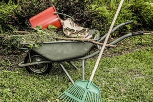 Carousel image 3e0b5f rbor ay oylestown