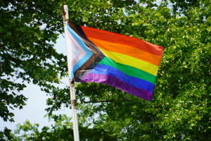 Carousel image 413061c1e3fc817efcc6 ac89f778249431d340f6 gay pride flag in sayreville