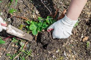 Carousel image 9f7775b25d0dc63c83ac shutterstock 2249074631