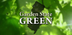 Carousel image f5f290a33968a67f5d59 stock image   garden state green   v1