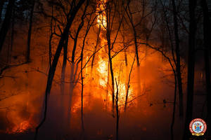 Carousel image 39e306139833cc47368d mini magick20241121 21184 m74hc4