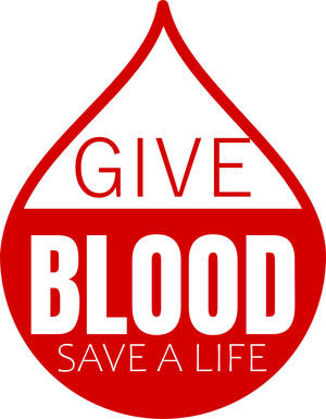 Carousel image abaa1a9761e60ea4ae80 shutterstock 1565067733