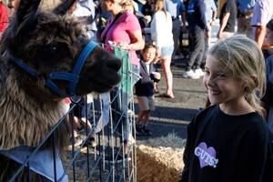 Carousel image bf7fce2183f6c60a3640 mini magick20240821 2456753 84mwun